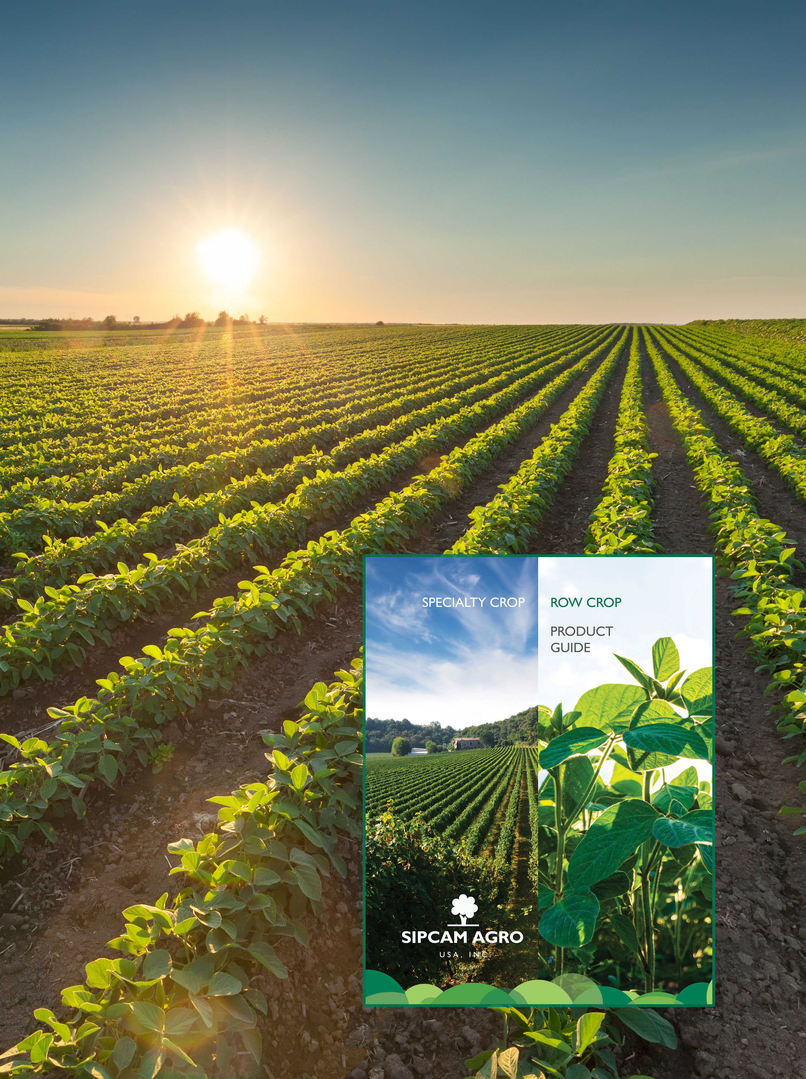 View our Row Crop and Specialty Product Guide and Turf & Ornamental Product Guide